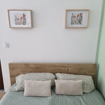 Apartament Panorama - Noclegi Blisko Energylandii Bachowice Exteriér fotografie